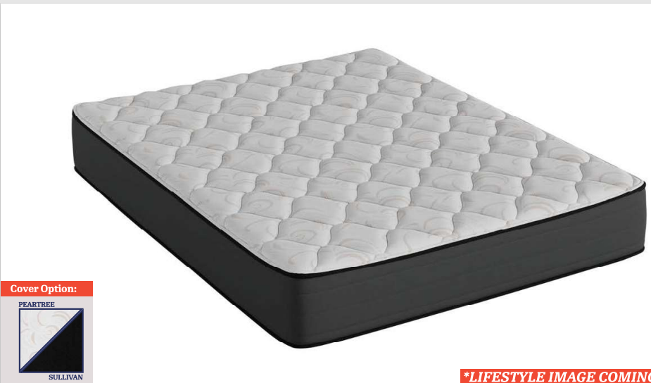 14512CVAB-10SZ Queen 12 Firm